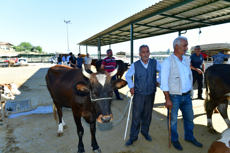 Başkan Geçit, “36 Noktada Kurban Satış ve Kesim Yeri Hizmet Verecek”